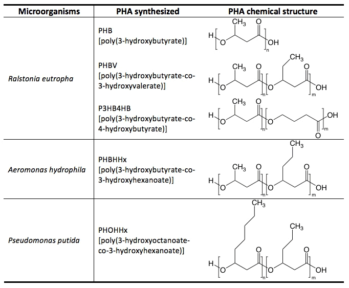 PHA-synthesizing microorganisms; Ralstonia eutropha; Aeromonas hydrophila; Pseudomonas putida.